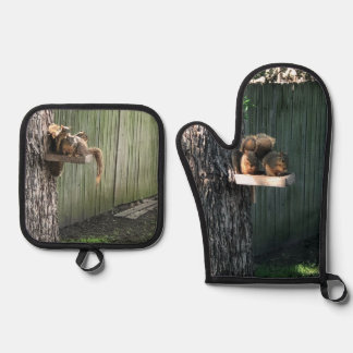 Squirrel Oven Mitt & Pot Holder Set
