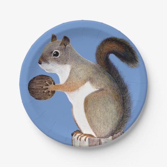 Squirrel Paper Plate | Zazzle.com