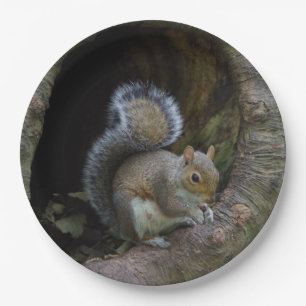 Squirrel Paper Plates