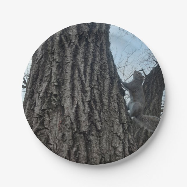 Squirrel Paper Plates (Front)
