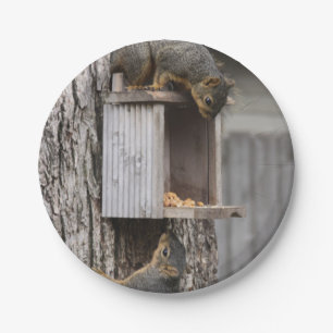 Squirrel Paper Plates