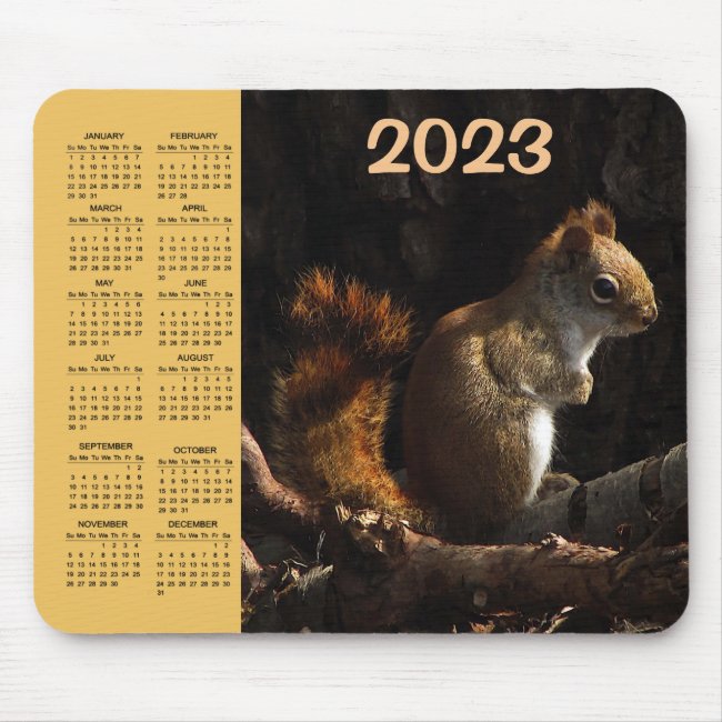 Squirrel Patch of Sunlight 2023 Calendar Mousepad