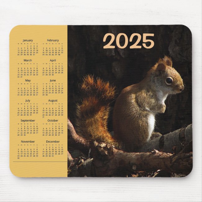 Squirrel Patch of Sunlight 2025 Calendar Mousepad