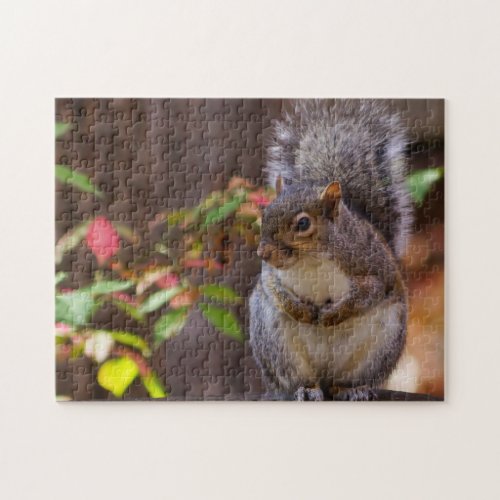 Squirrel Patiently Begs Jigsaw Puzzle