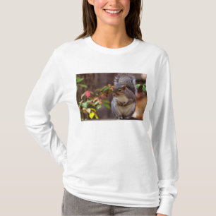 Squirrel Patiently Begs Long Sleeve T-Shirt