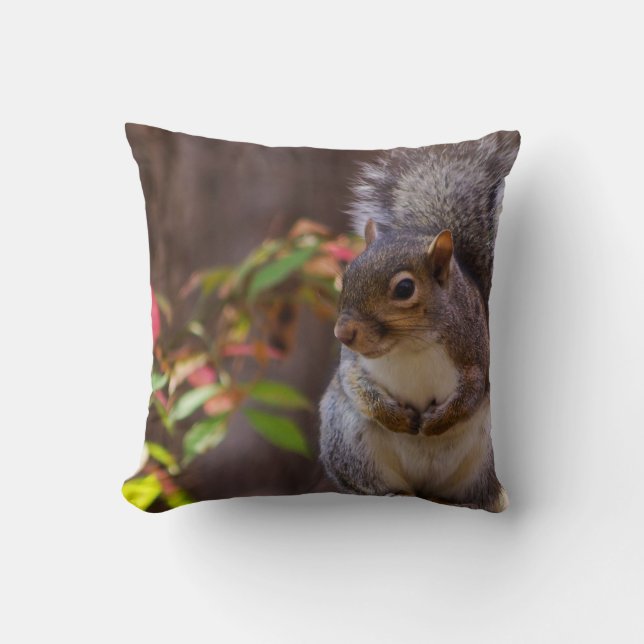 Squirrel Patiently Begs Throw Pillow (Front)