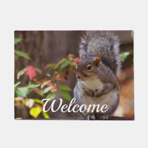Squirrel Patiently Begs Welcome Doormat