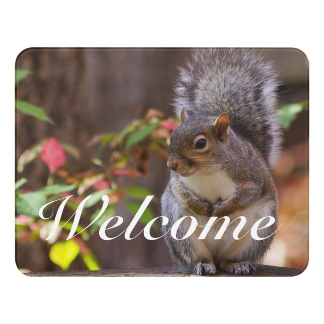 Squirrel Patiently Begs Welcome Sign (Contemporary Front)