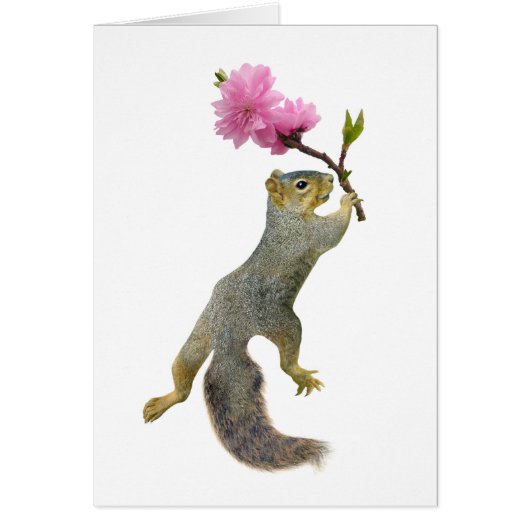 Squirrel Peach Blossom Card (Front)