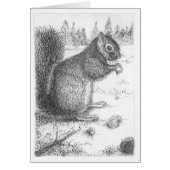 Squirrel Pen & Ink Illustration (Front)