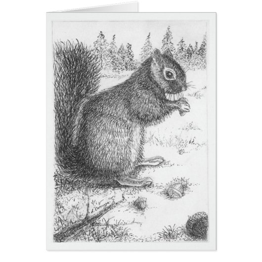 Squirrel Pen & Ink Illustration Cards (Front)