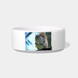 Squirrel Pet Bowl
