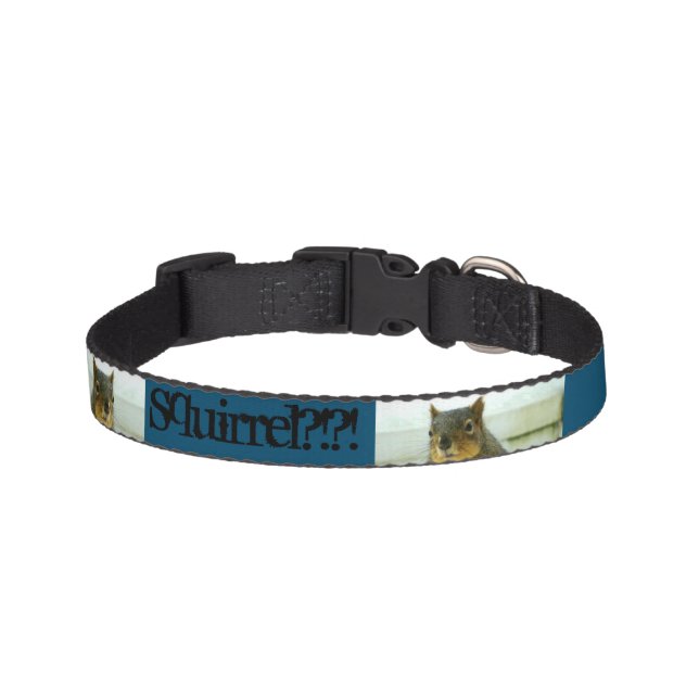 Squirrel?!?! Pet Collar (Front)