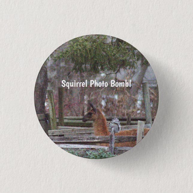 Squirrel Photo Bomb Button (Front)