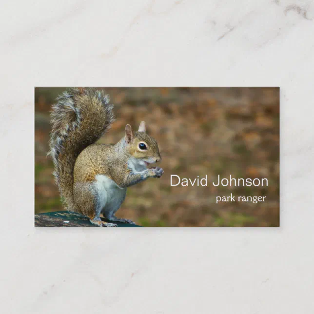 Squirrel Photo Business Card | Zazzle