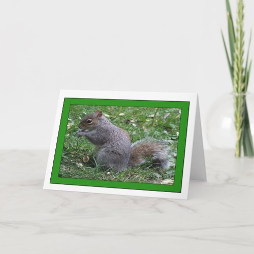 Squirrel Photo Greetings Card