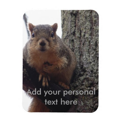 Squirrel photo magnet laminated