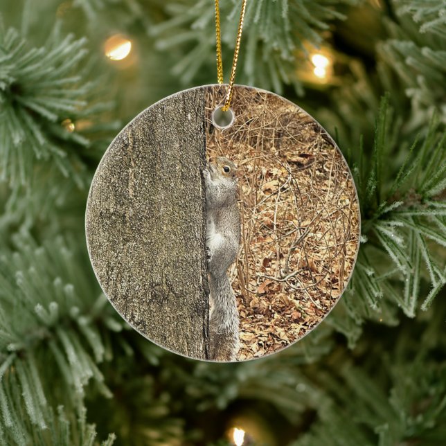 Squirrel Photo Ornament  (Tree)