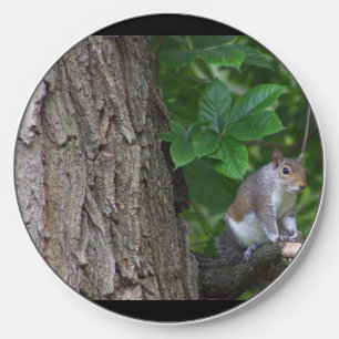 Squirrel Photo Wireless Charger