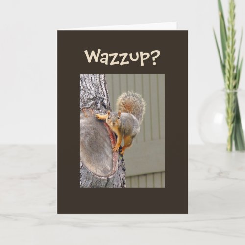 Squirrel Photograph Card