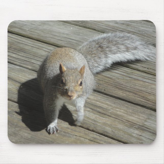 Squirrel Photograph Mouse Pad (Front)