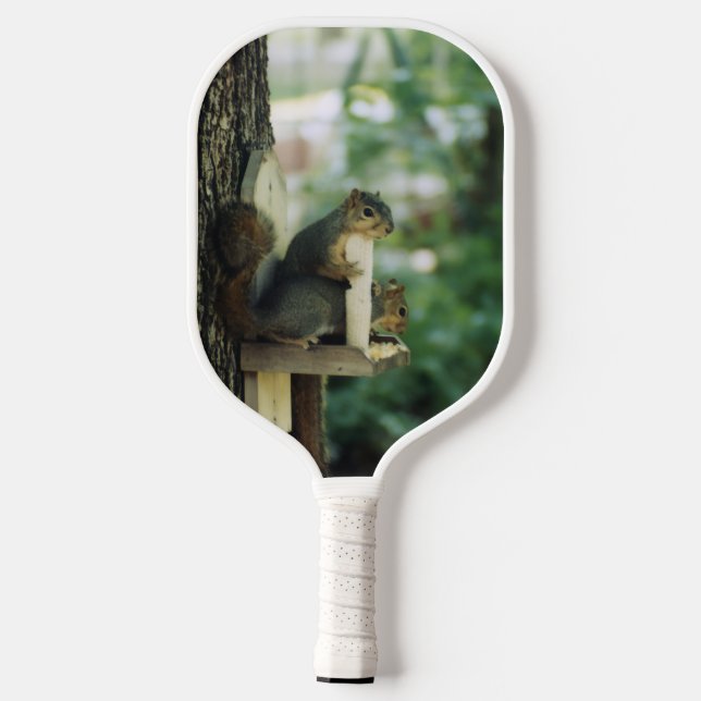 Squirrel Pickleball Paddle (Back)
