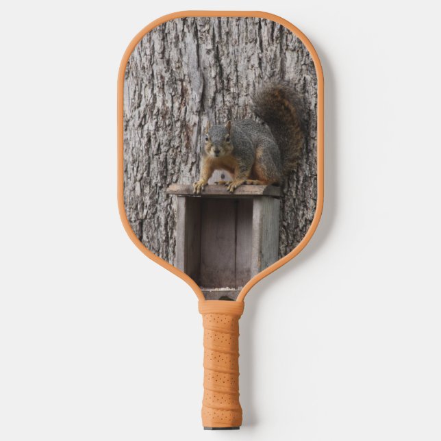 Squirrel Pickleball Paddle (Front)