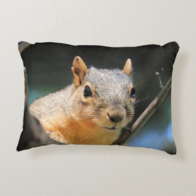 Squirrel Pillow (Back)
