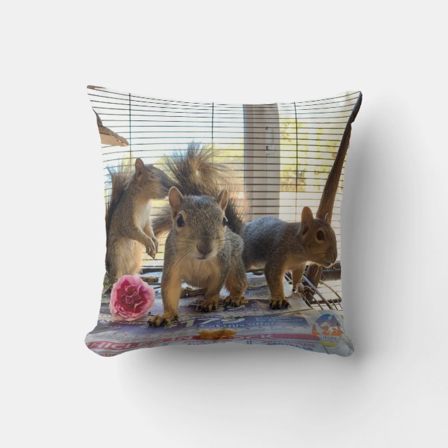 Squirrel Pillow (Front)
