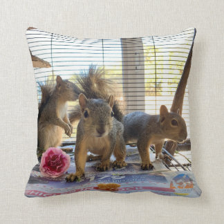 Squirrel Pillow