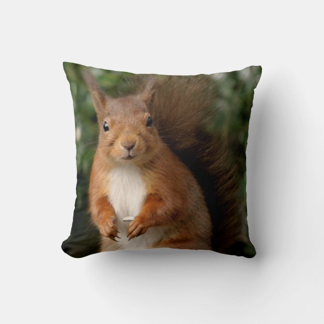 Squirrel Pillow/Cushion Throw Pillow (Front)
