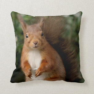 Squirrel Pillow/Cushion Throw Pillow
