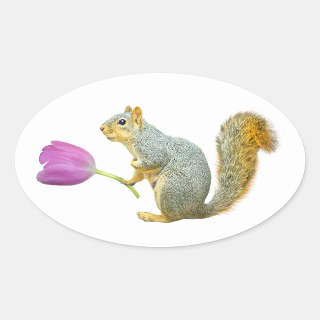 Squirrel Pink Flower Sticker (Front)