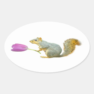 Squirrel Pink Flower Sticker