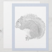 Squirrel Plain (Front/Back)