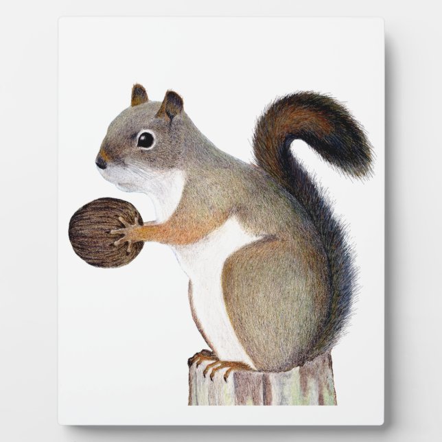 Squirrel Plaque (Front)