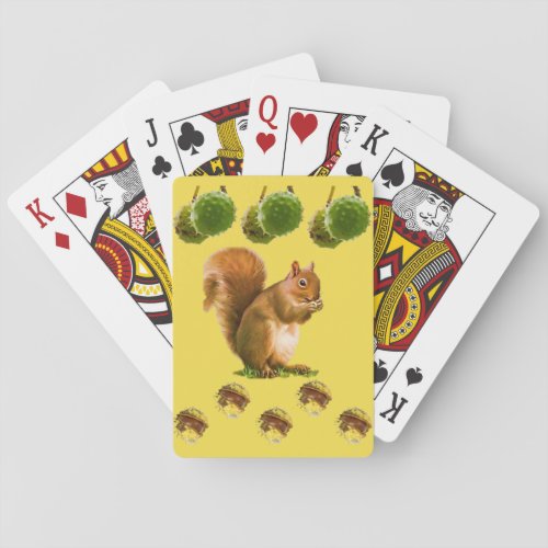 Squirrel Playing Card Deck