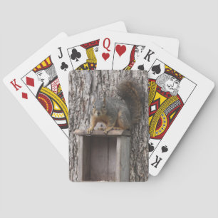 Squirrel Playing Cards
