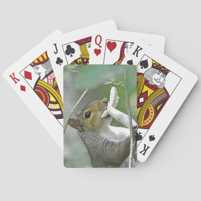 Squirrel Playing Cards (Back)