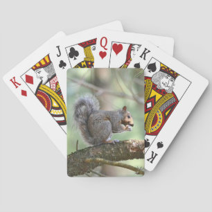 Squirrel Playing Cards
