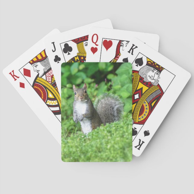 Squirrel Playing Cards (Back)