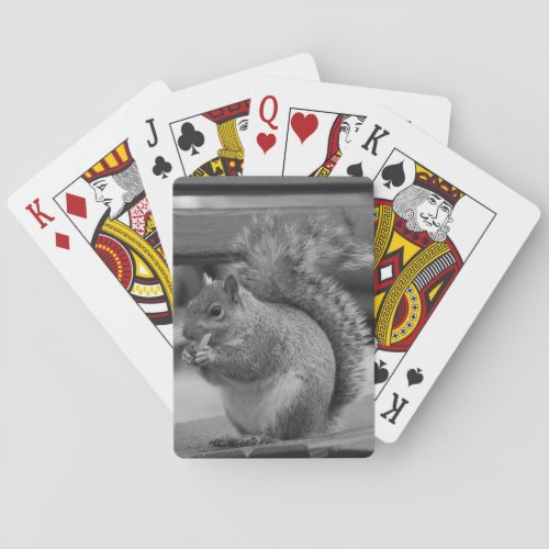 Squirrel Playing Cards