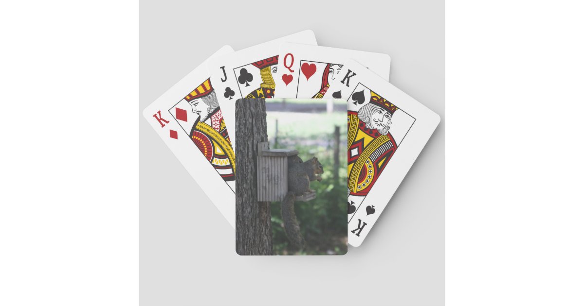 Squirrel Playing Cards