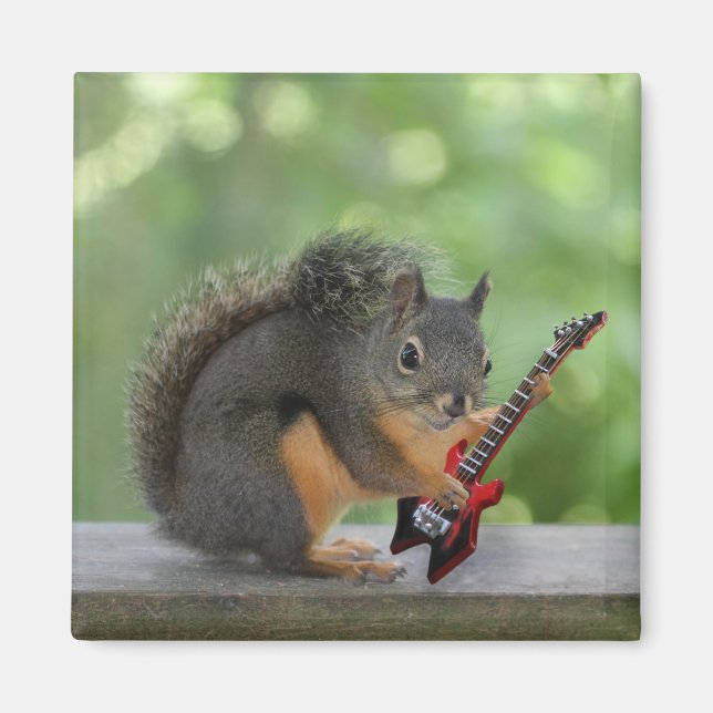 Squirrel Playing Electric Guitar Magnet (Front)