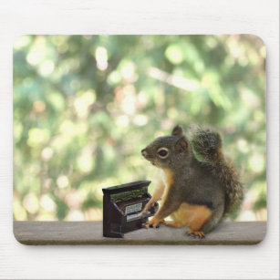 Squirrel Playing Piano Mouse Pad