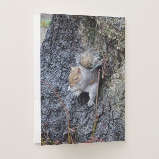 Squirrel pocket folder