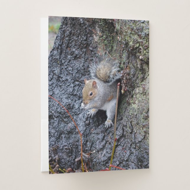 Squirrel pocket folder (Back)