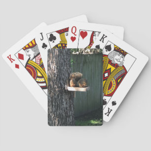 Squirrel Poker Cards