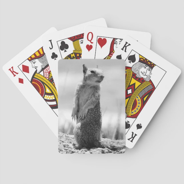 Squirrel  poker cards (Back)