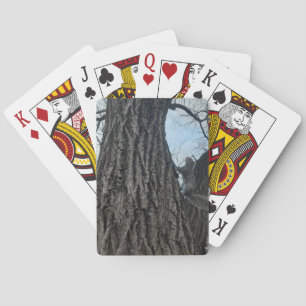 Squirrel Poker Cards